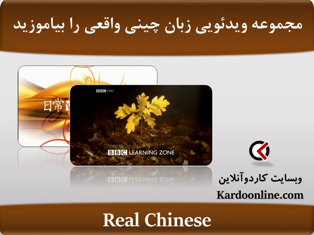 Real Chinese